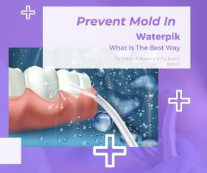 Prevent Mold In Waterpik